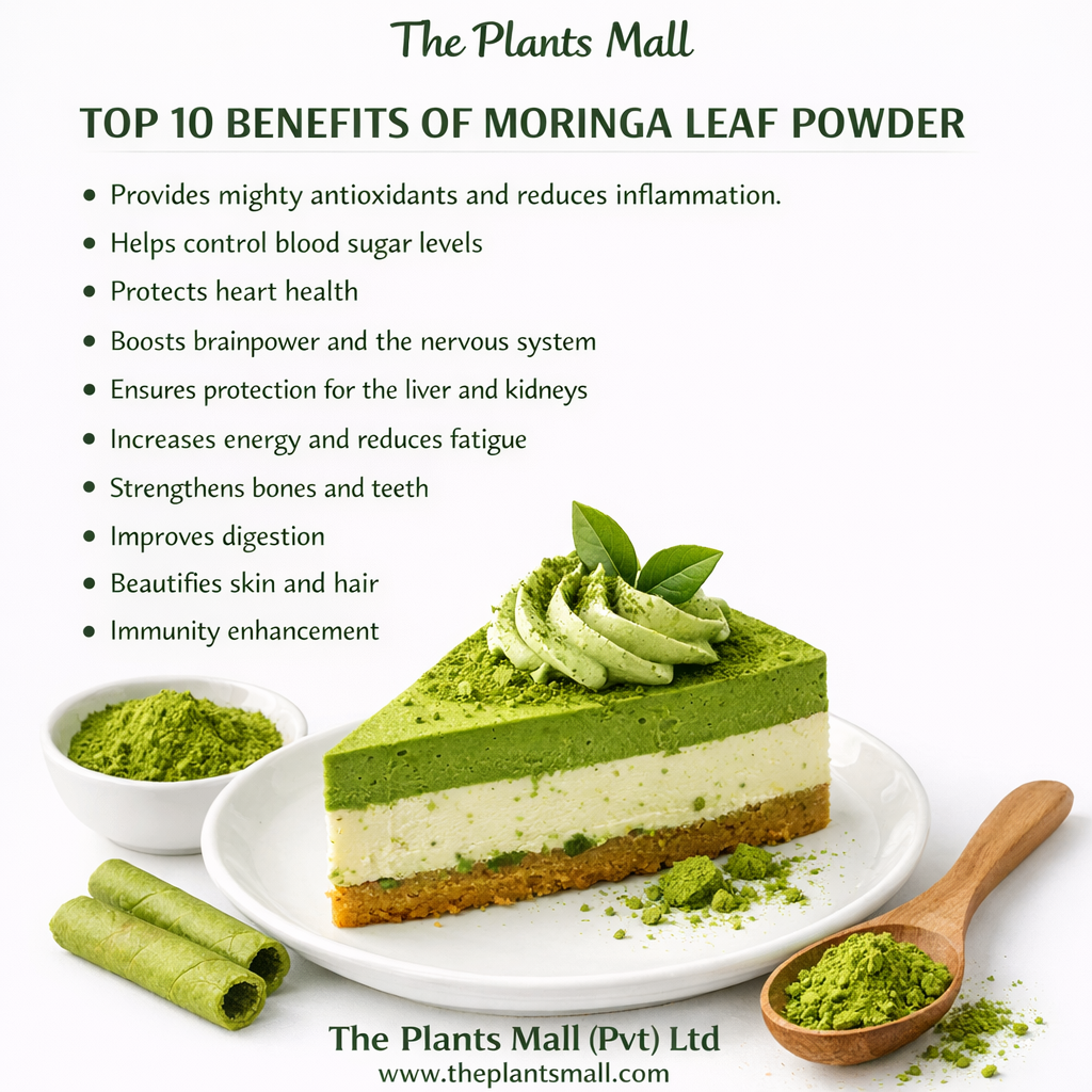 Organic Moringa Powder | Premium Moringa Leaf Powder Pakistan | Natural Energy Booster, Immunity Support & Detox Superfood