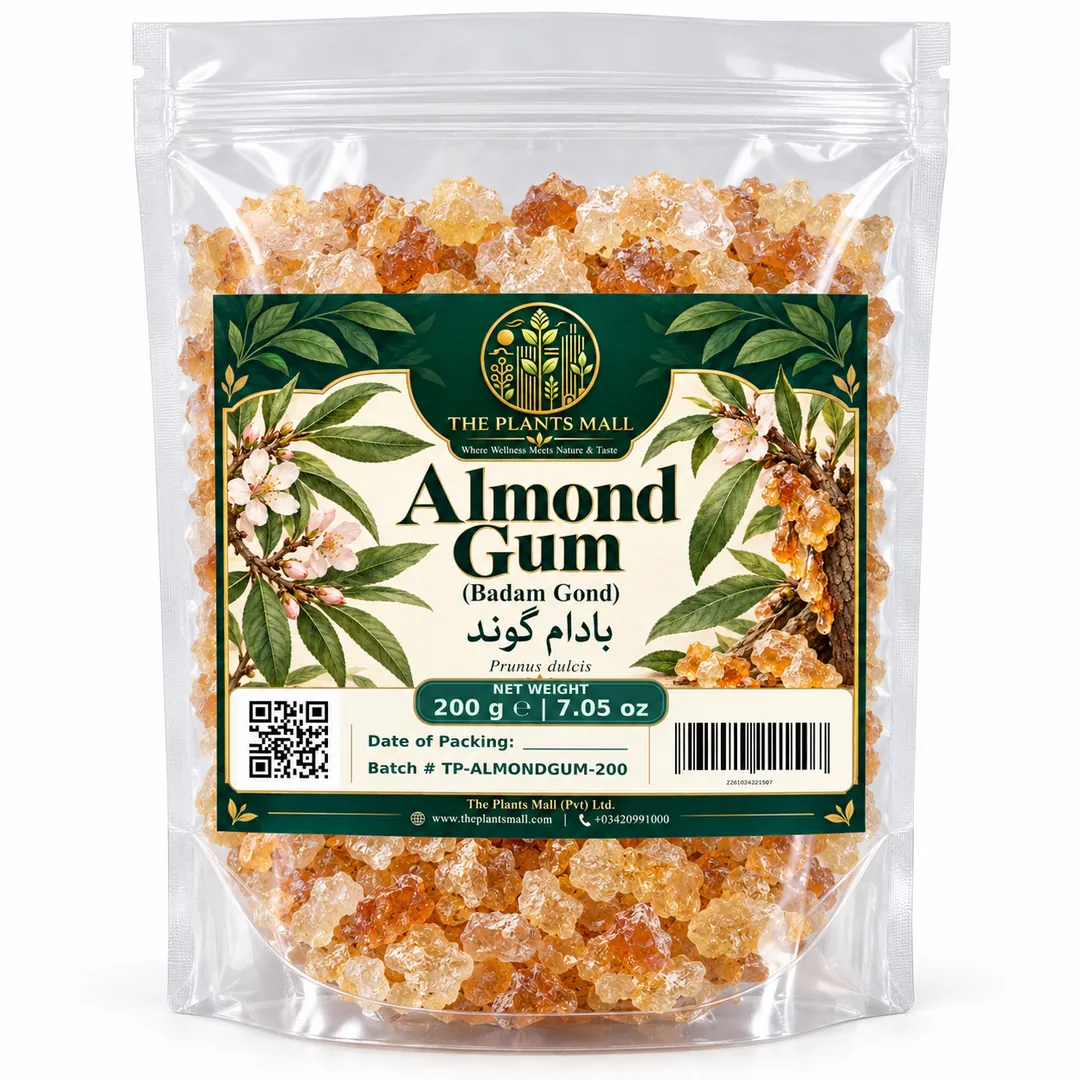 Almond visual identity
