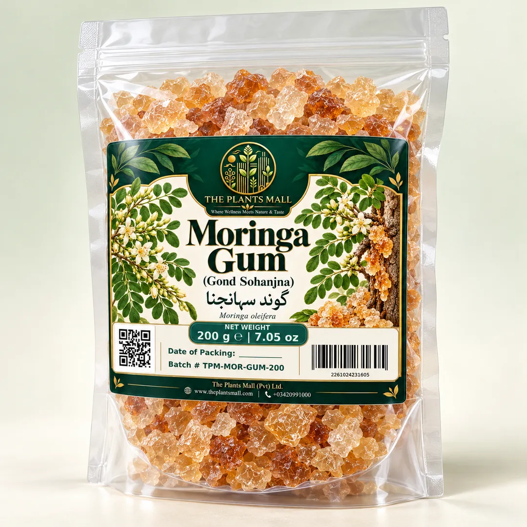 Moringa Gum Gond Sohanjna dried natural gum pieces