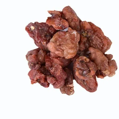 Moringa Gum Gond Sohanjna dried natural gum pieces