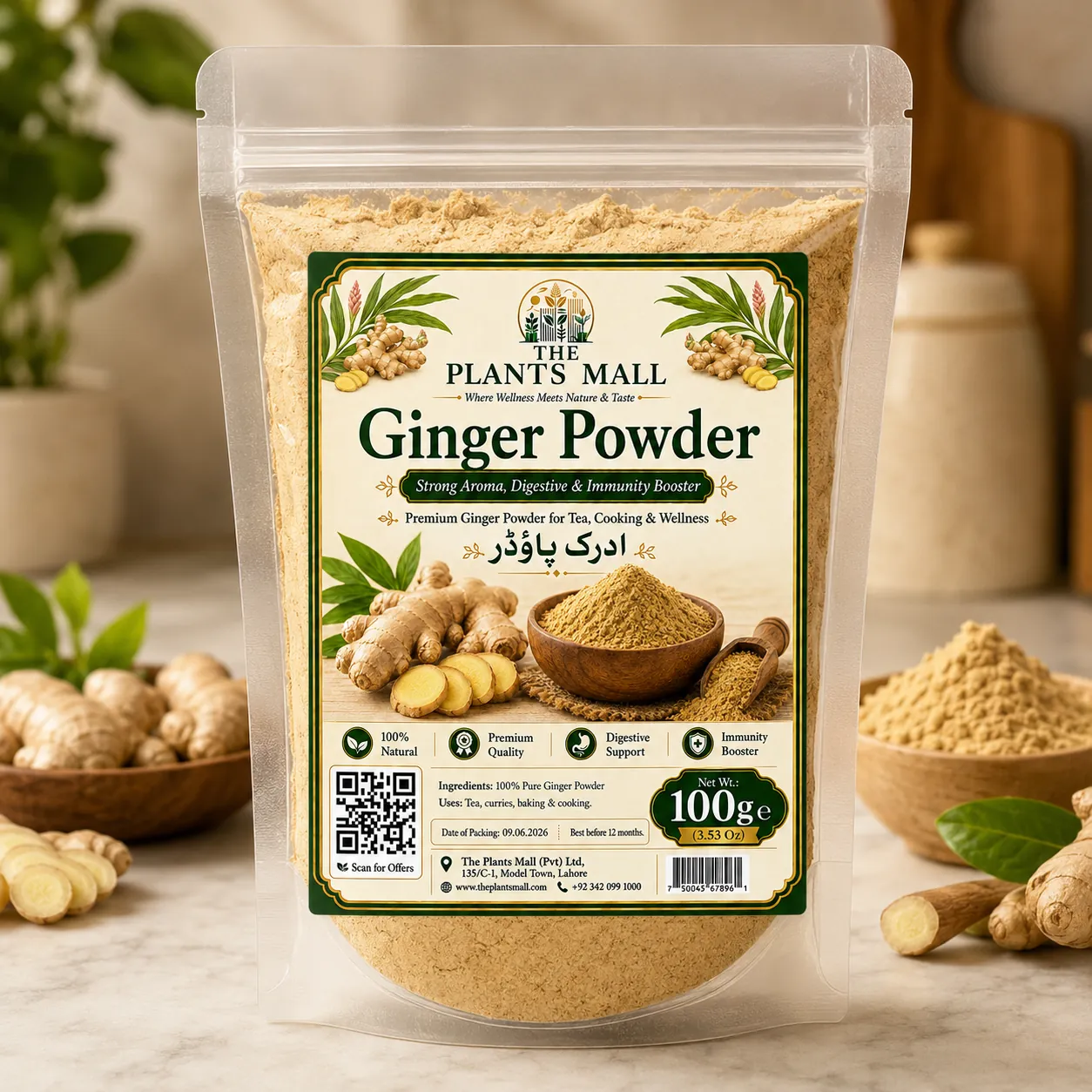 Ginger Powder  | Premium Adrak Powder | 100% Pure Raw Ground Ginger | Natural Dry Ginger Spice | Non-GMO | For Tea, Kahwa, Cooking, Baking & Herbal Drinks