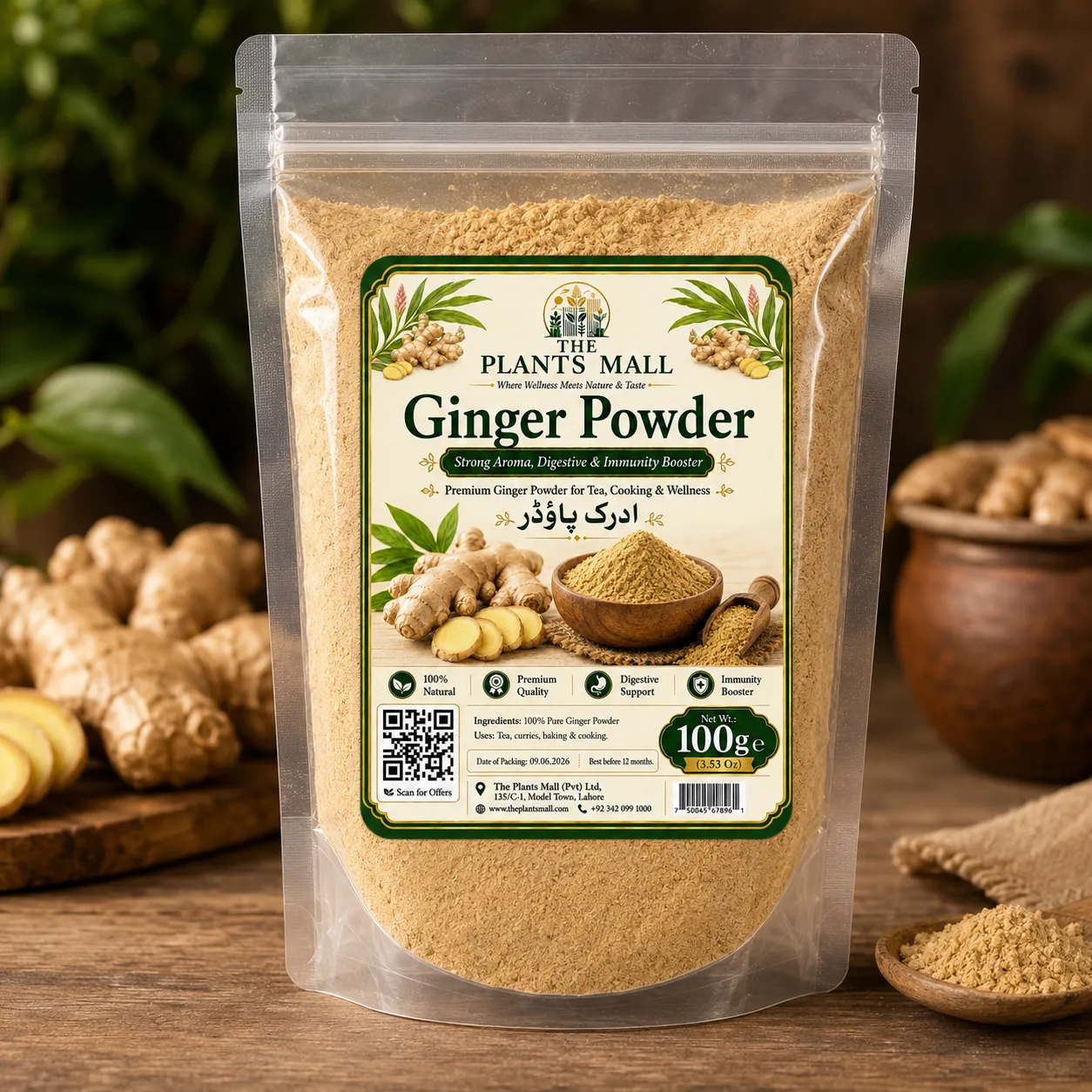 Ginger Powder  | Premium Adrak Powder | 100% Pure Raw Ground Ginger | Natural Dry Ginger Spice | Non-GMO | For Tea, Kahwa, Cooking, Baking & Herbal Drinks
