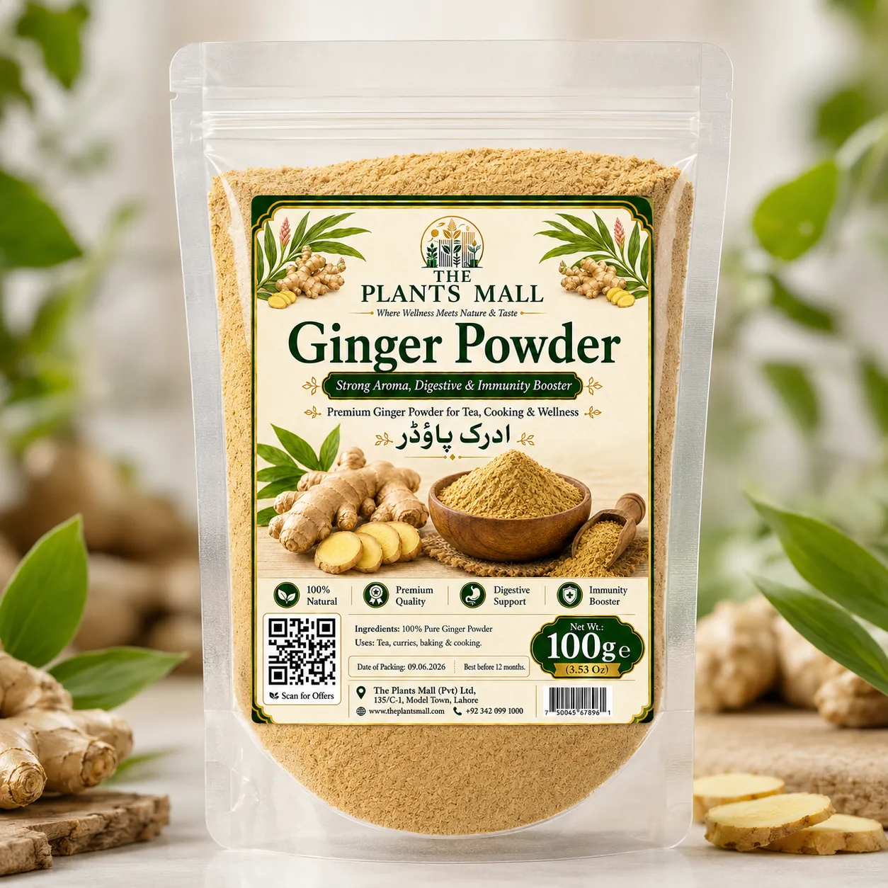 Ginger Powder  | Premium Adrak Powder | 100% Pure Raw Ground Ginger | Natural Dry Ginger Spice | Non-GMO | For Tea, Kahwa, Cooking, Baking & Herbal Drinks