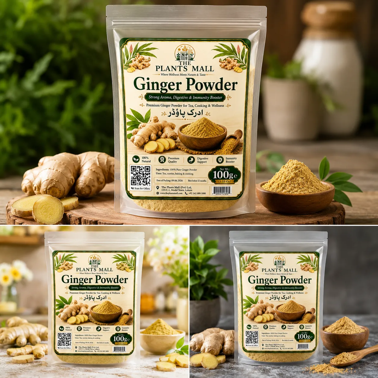 Ginger Powder  | Premium Adrak Powder | 100% Pure Raw Ground Ginger | Natural Dry Ginger Spice | Non-GMO | For Tea, Kahwa, Cooking, Baking & Herbal Drinks