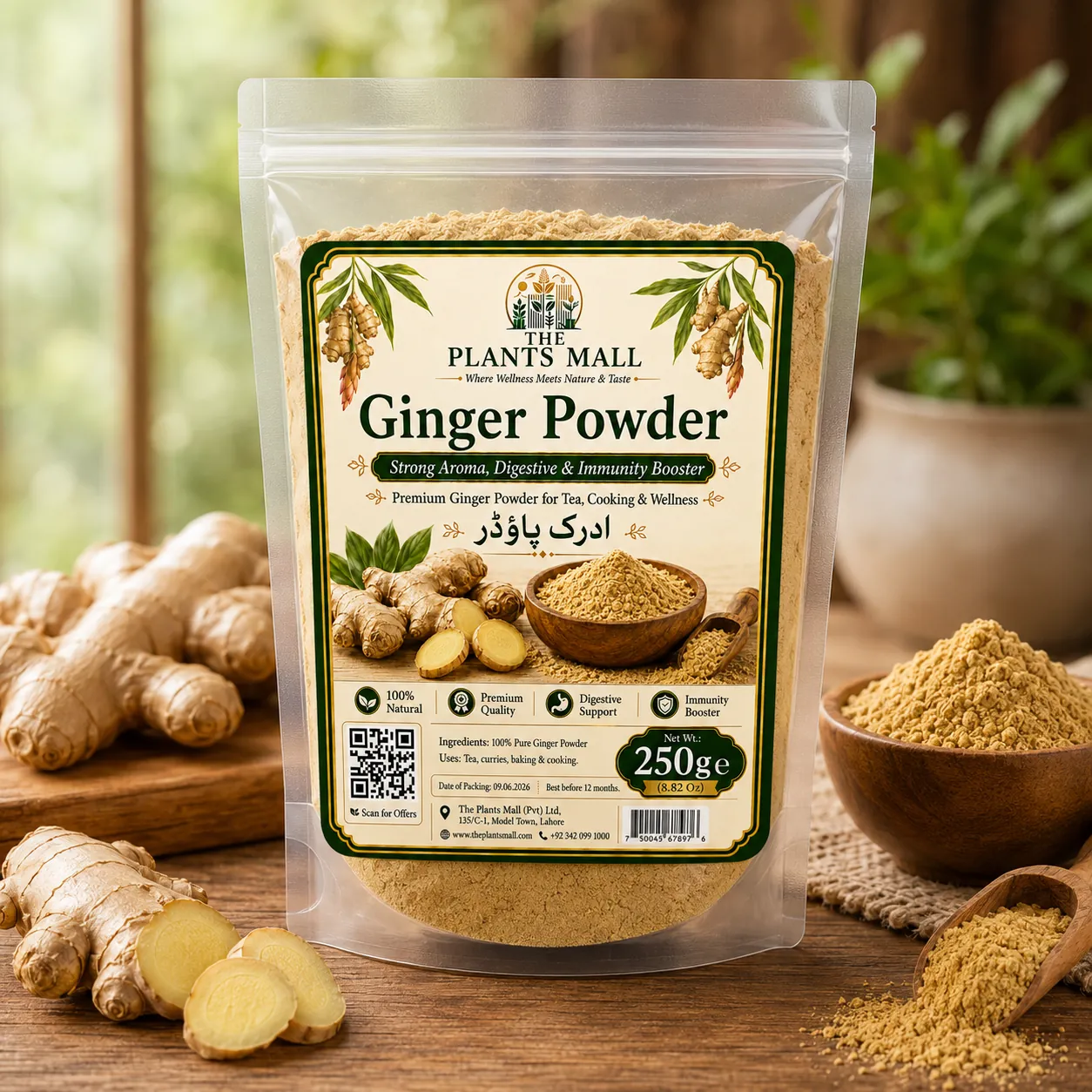 Ginger Powder  | Premium Adrak Powder | 100% Pure Raw Ground Ginger | Natural Dry Ginger Spice | Non-GMO | For Tea, Kahwa, Cooking, Baking & Herbal Drinks